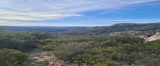 sainte-baume (1)